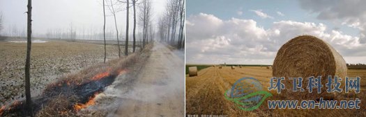 目前,我國各類秸稈年產(chǎn)量約為10億噸