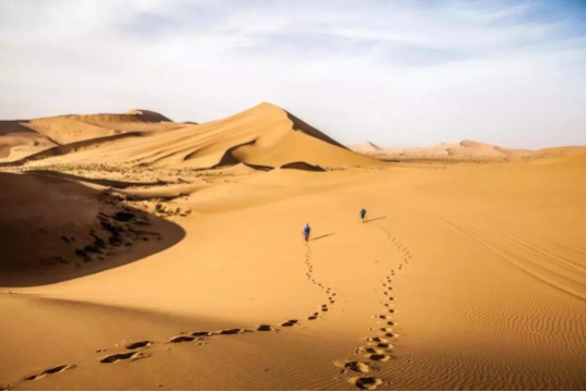 1553672613823836.png image.png